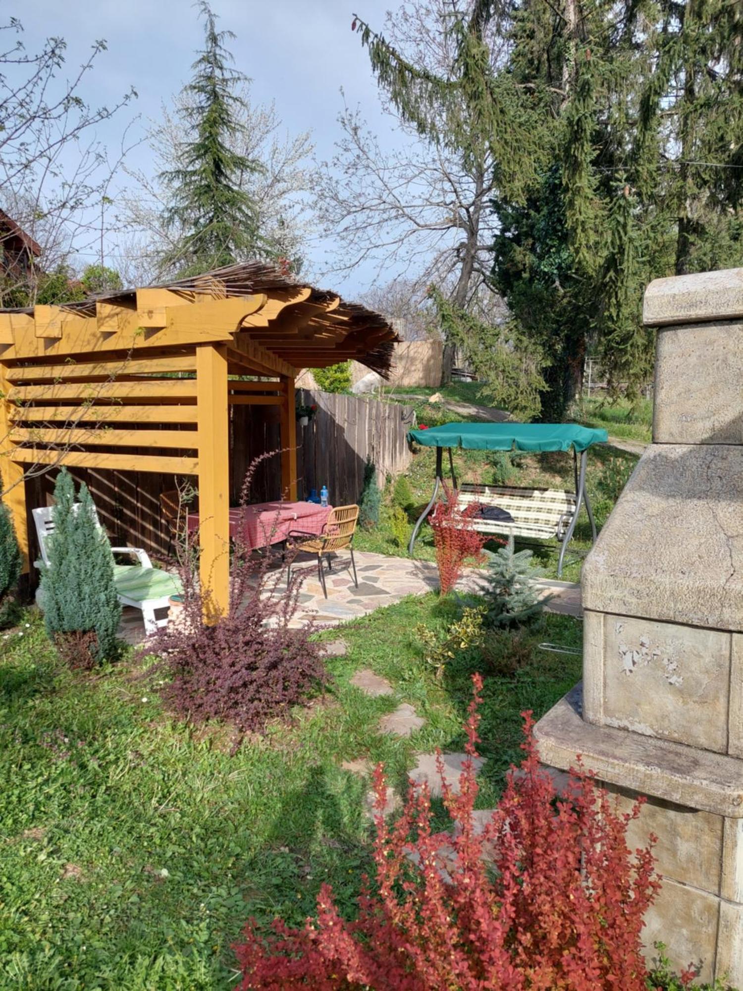 Brvnara Kraj Dunava Zelena Oaza Banostor Exterior foto